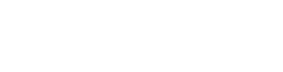 Google AI Overview (1)